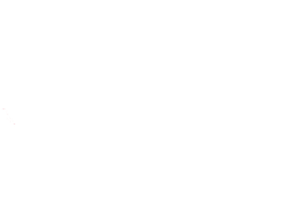 Ceesa-logo